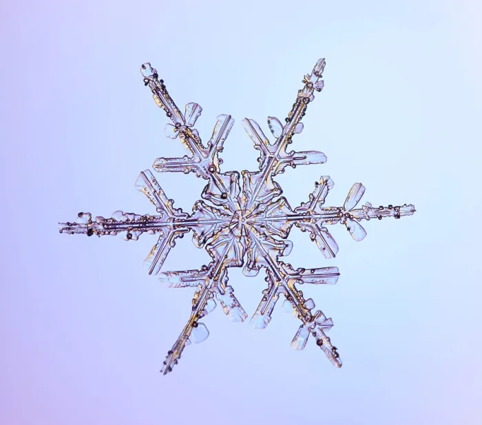 Framed Print : Snowflake with a stellar (or dendritic) crystal form Framed Print : Snowflake with a stellar (or dendritic) crystal form