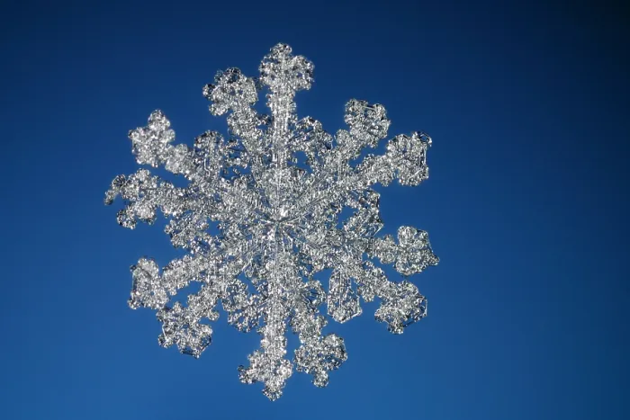 Framed Print : Snowflake. A rare 12 sided snowflake or a snow crystal Framed Print : Snowflake. A rare 12 sided snowflake or a snow crystal