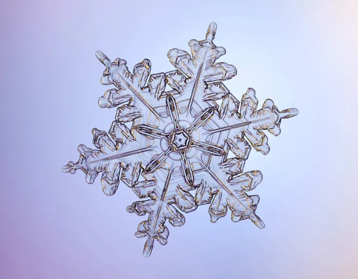 Framed Print : Snowflake. A Snowflake with a stellar (or dendritic) crystal form Framed Print : Snowflake. A Snowflake with a stellar (or dendritic) crystal form