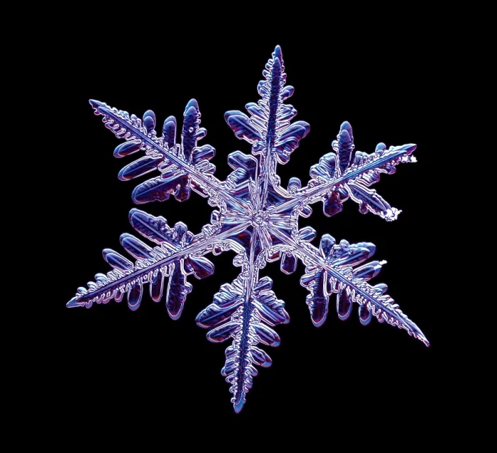 Framed Print : Snowflake with a stellar (or dendritic) crystal form Framed Print : Snowflake with a stellar (or dendritic) crystal form