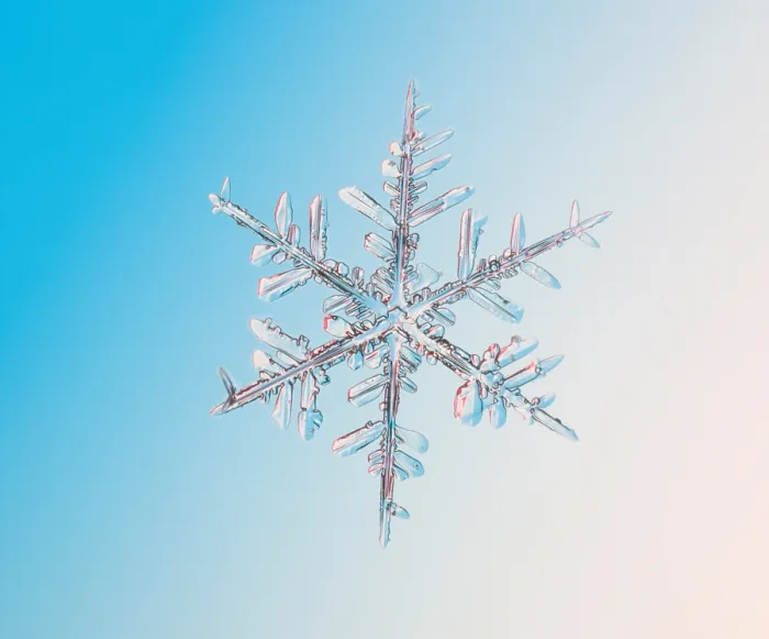 Framed Print : Snowflake with a stellar (or dendritic) crystal form Framed Print : Snowflake with a stellar (or dendritic) crystal form