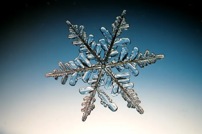 Framed Print : Snowflake. A snowflake or a snow crystal Framed Print : Snowflake. A snowflake or a snow crystal