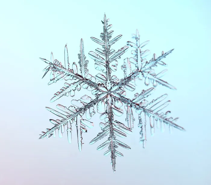 Framed Print : Snowflake Under the Microscope Framed Print : Snowflake Under the Microscope