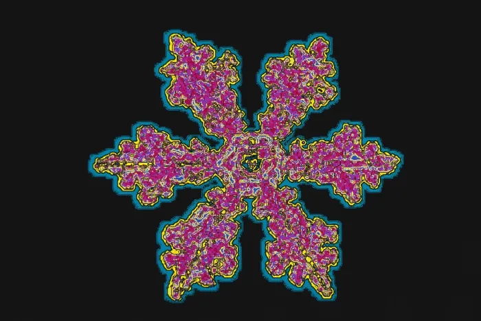 Framed Print : Snowflakes Framed Print : Snowflakes