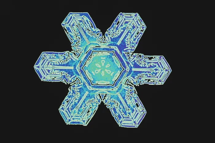 Framed Print : Snowflakes Framed Print : Snowflakes