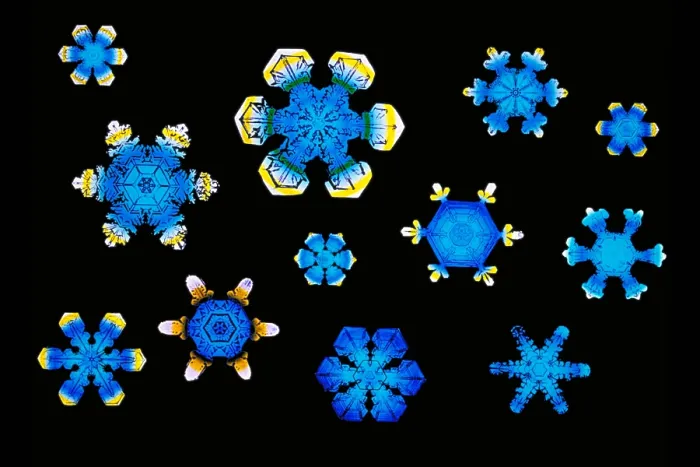 Framed Print : Snowflakes Framed Print : Snowflakes