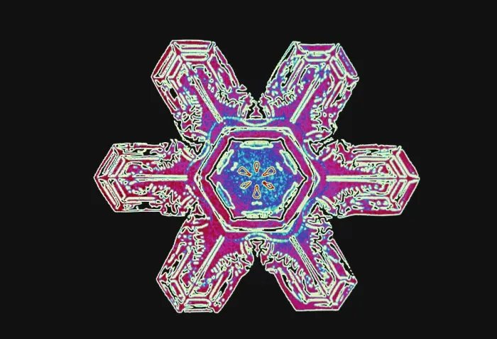 Framed Print : Snowflakes Framed Print : Snowflakes