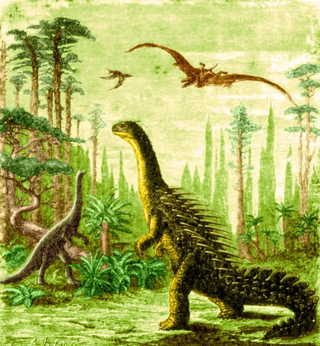 Framed Print : Stegosaurus and Compsognathus Dinosaurs
