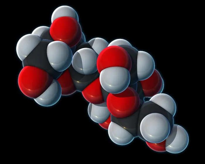Framed Print : Sucrose, Molecular Model Framed Print : Sucrose, Molecular Model