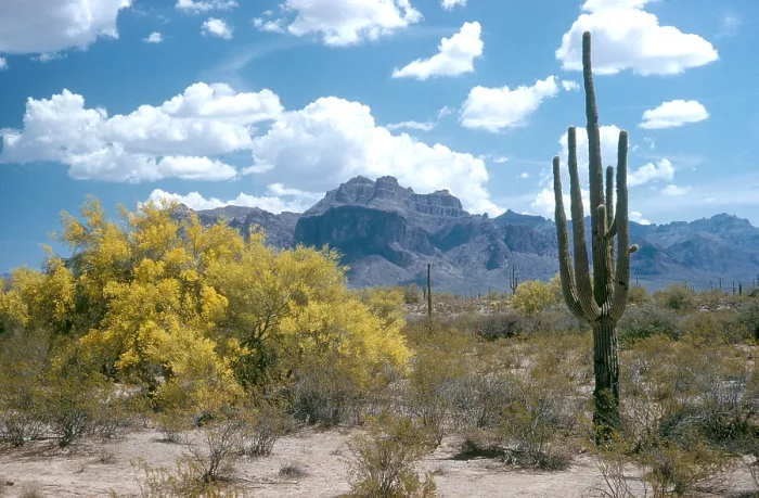 Framed Print : Superstition Mountains