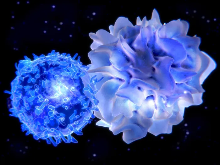 Framed Print : T-lymphocyte interacting with an antigen presenting cell (APC) Framed Print : T-lymphocyte interacting with an antigen presenting cell (APC)