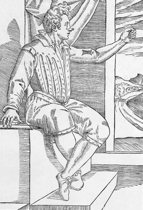 Framed Print : One of Tagliacozzi's Rhinoplasty Methods, 6 of 6 Framed Print : One of Tagliacozzi's Rhinoplasty Methods, 6 of 6