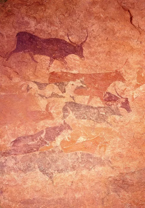 Framed Print : Tassili Rock Paintings