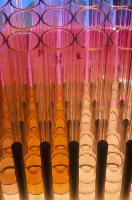 Framed Print : Test Tubes Framed Print : Test Tubes