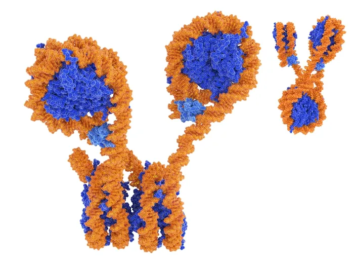 Framed Print : Tetranucleosome array with 2 H1 histones Framed Print : Tetranucleosome array with 2 H1 histones