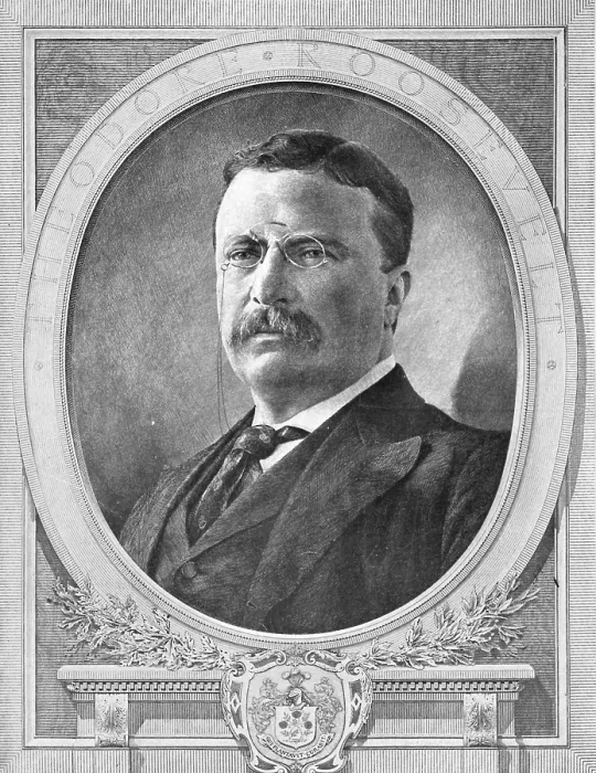 Framed Print : Theodore Roosevelt, 26th U.S. President Framed Print : Theodore Roosevelt, 26th U.S. President
