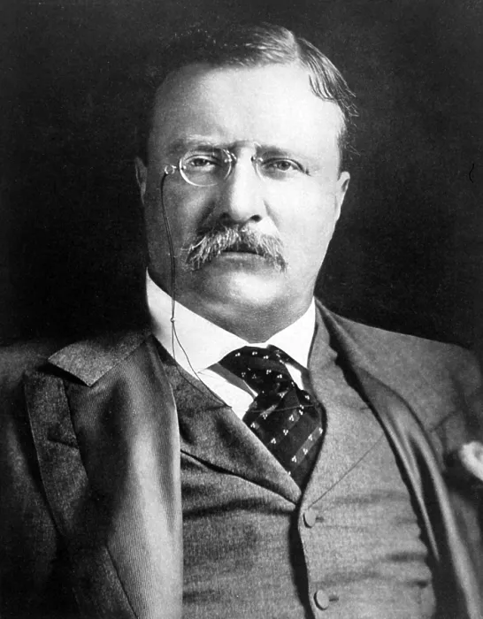 Framed Print : Theodore Roosevelt, 26th U.S. President Framed Print : Theodore Roosevelt, 26th U.S. President