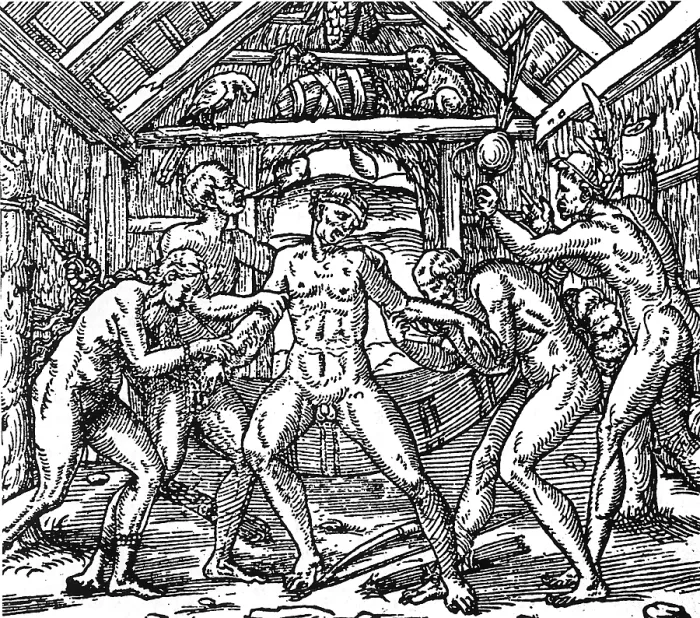 Framed Print : Tobacco Plant, Early Syphilis Treatment, 1558 Framed Print : Tobacco Plant, Early Syphilis Treatment, 1558