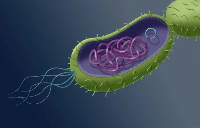 Framed Print : Transfer of genetic material, horizontal gene transfer (HGT), through plasmid transfer, microbiology visual Framed Print : Transfer of genetic material, horizontal gene transfer (HGT), through plasmid transfer, microbiology visual