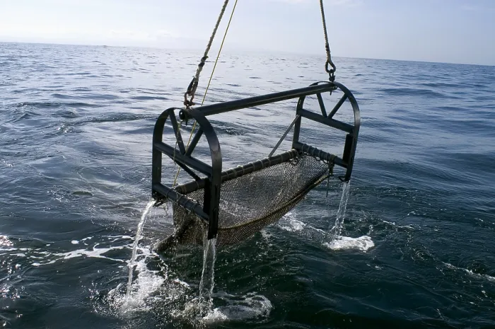Framed Print : Trawling for marine life