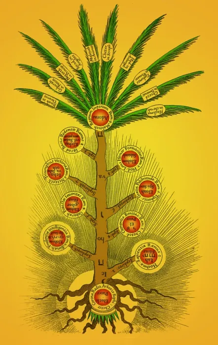 Framed Print : Tree of Life, Etz haChayim