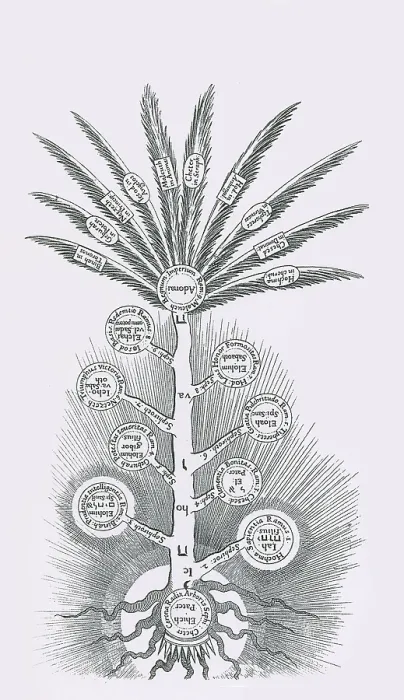 Framed Print : Tree of Life, Etz haChayim