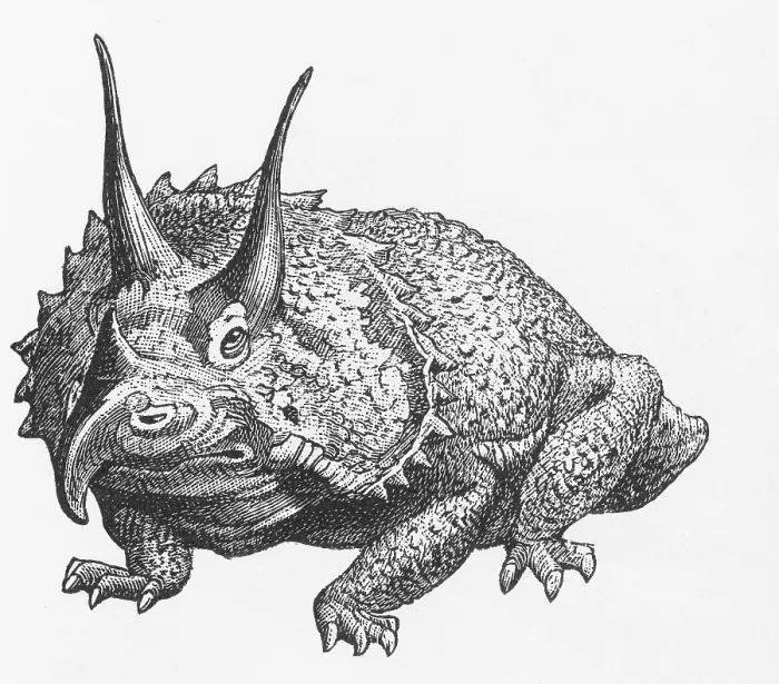 Framed Print : Triceratops Illustration