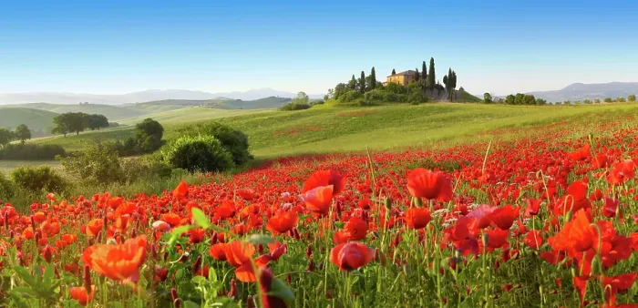 Framed Print : Tuscany in Spring Framed Print : Tuscany in Spring