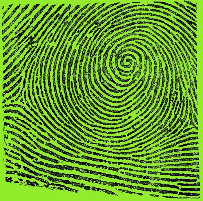 Framed Print : Typical Whorl Pattern, 1900