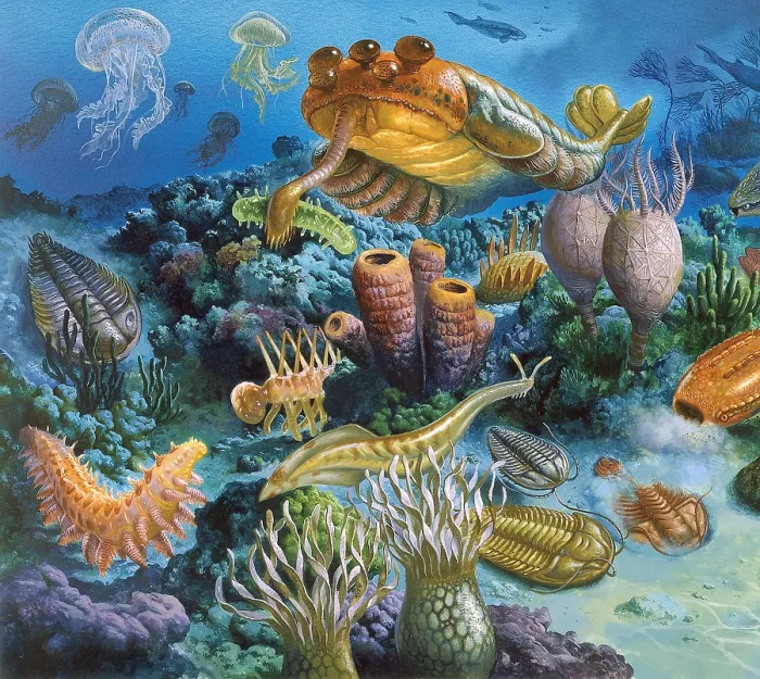 Framed Print : Underwater Paleozoic Landscape Framed Print : Underwater Paleozoic Landscape