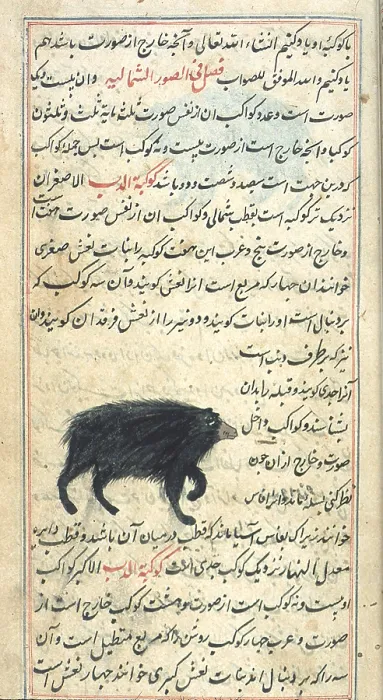 Framed Print : Ursa Minor, 17th Century