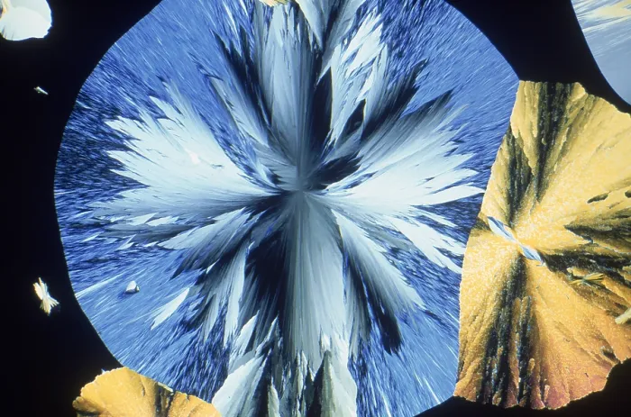 Framed Print : Vanillin Crystals Framed Print : Vanillin Crystals