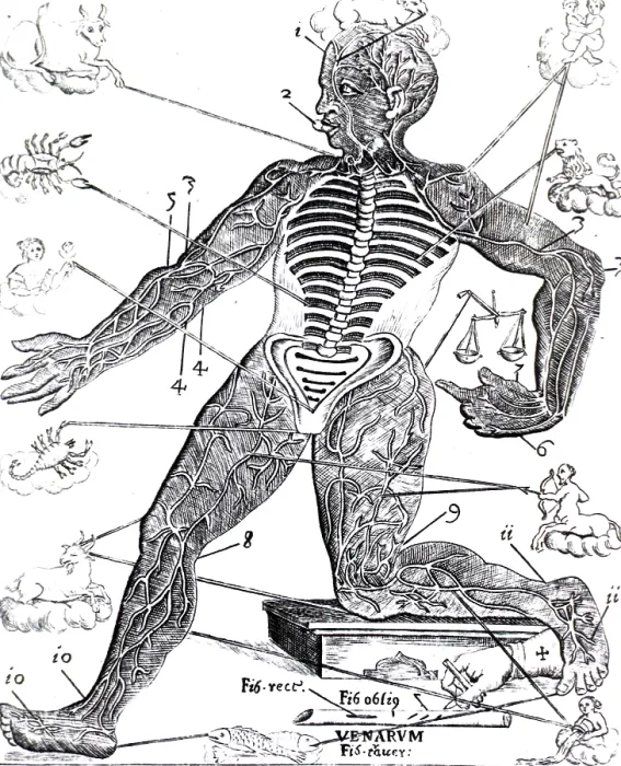 Framed Print : Vein Man, Medical Astrology, 17th Century Framed Print : Vein Man, Medical Astrology, 17th Century
