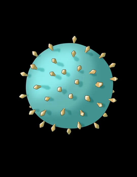Framed Print : Virus Shape, Complex, Illustration Framed Print : Virus Shape, Complex, Illustration
