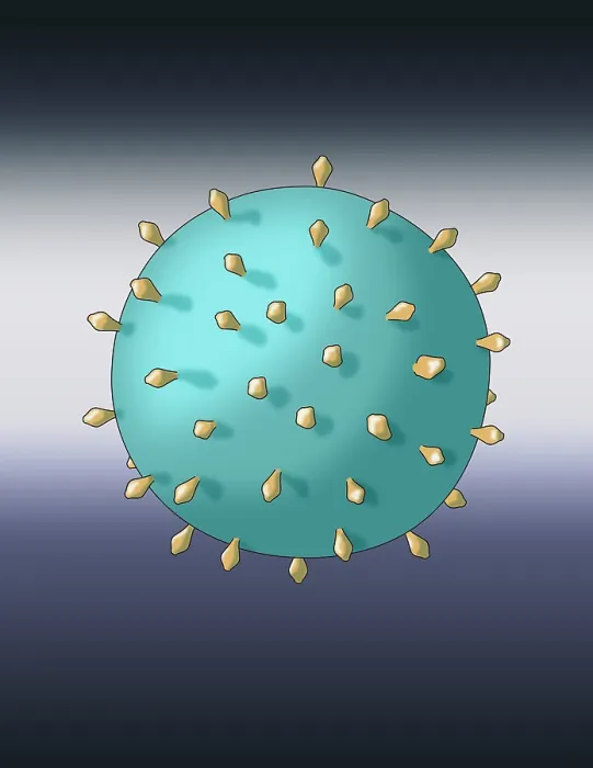Framed Print : Virus Shape, Complex, Illustration Framed Print : Virus Shape, Complex, Illustration