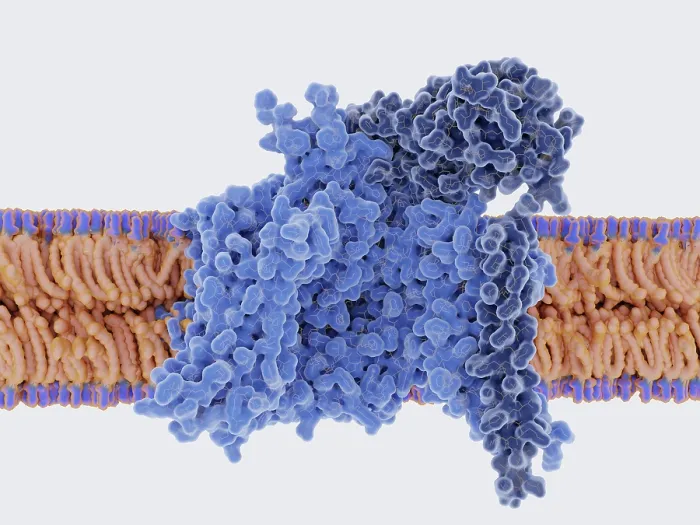 Framed Print : Voltage-gated Sodium Channel in the Open Conformation Framed Print : Voltage-gated Sodium Channel in the Open Conformation