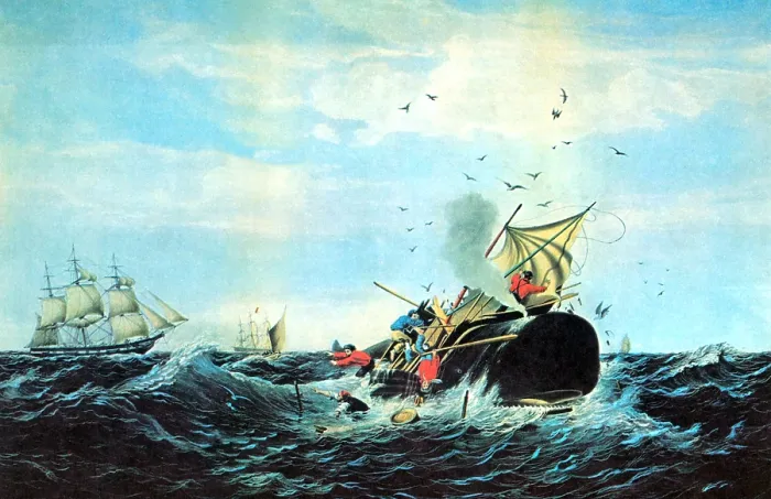 Framed Print : Whaling, 19th Century Framed Print : Whaling, 19th Century