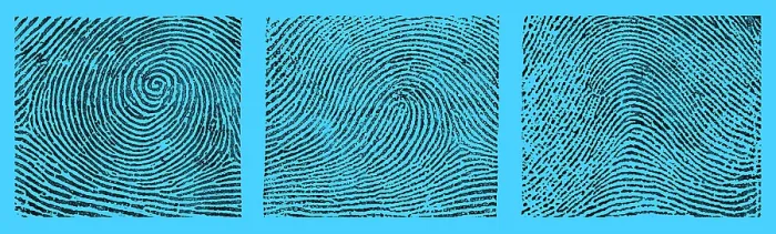 Framed Print : Whorl, Loop, and Arch Fingerprints Framed Print : Whorl, Loop, and Arch Fingerprints