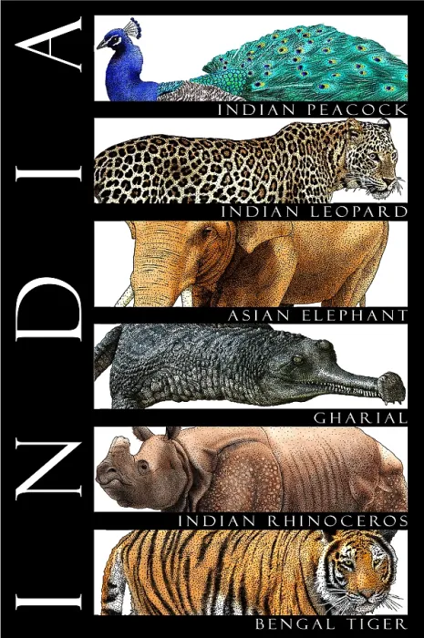 Framed Print : Wildlife of India Framed Print : Wildlife of India