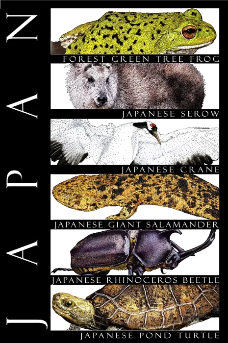 Framed Print : Wildlife of Japan Framed Print : Wildlife of Japan