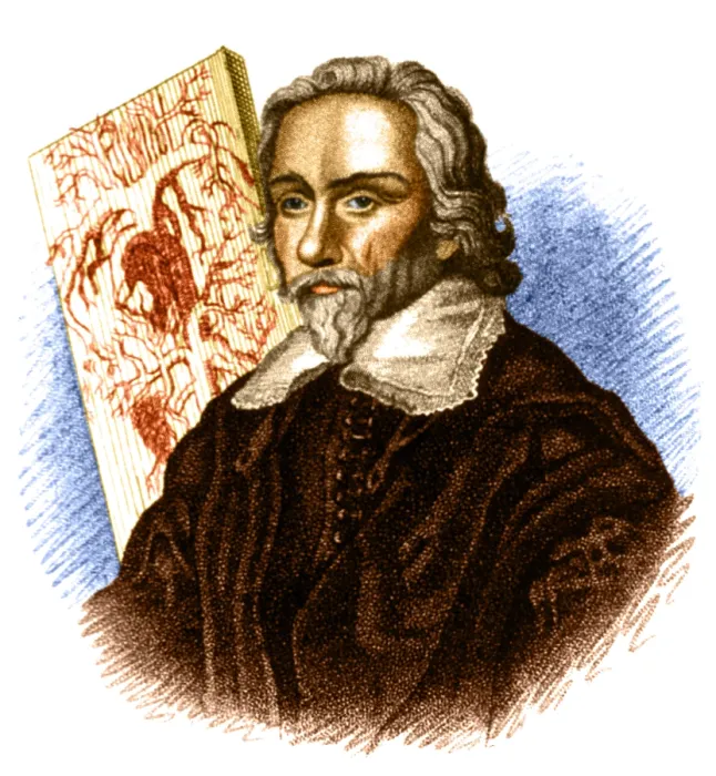Framed Print : William Harvey, English Physician