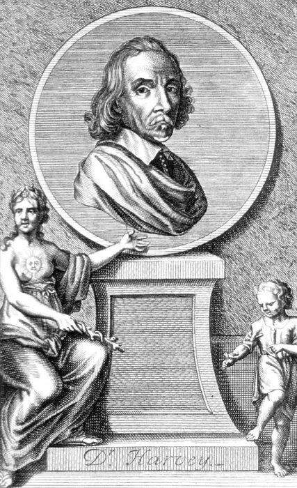 Framed Print : William Harvey, English Physician Framed Print : William Harvey, English Physician