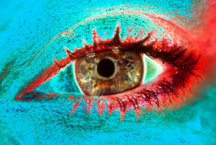 Framed Print : Woman's Eye Framed Print : Woman's Eye