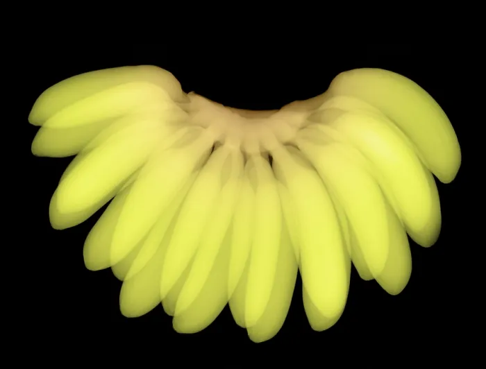 Framed Print : X-ray of Bananas Framed Print : X-ray of Bananas