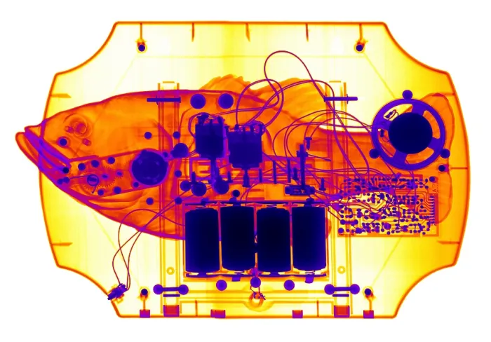 Framed Print : X-ray of mechanical Fish