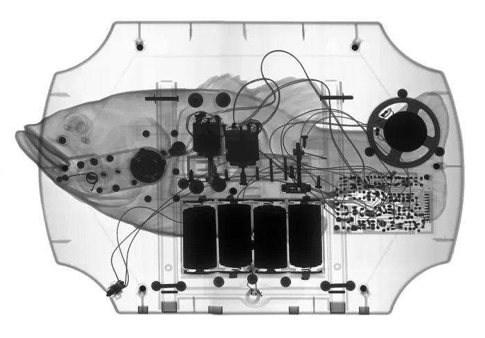 Framed Print : X-ray of mechanical Fish Framed Print : X-ray of mechanical Fish
