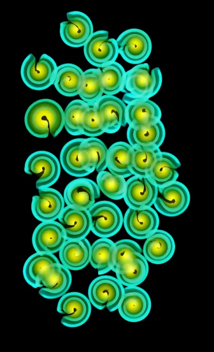 Framed Print : X-Ray of Pasta Framed Print : X-Ray of Pasta