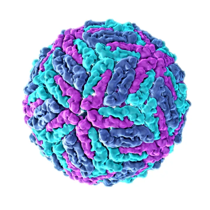 Framed Print : Zika virus, Molecular Model Framed Print : Zika virus, Molecular Model