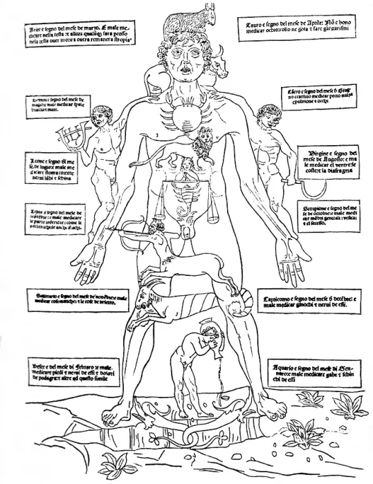 Framed Print : Zodiac Man, Medical Astrology Framed Print : Zodiac Man, Medical Astrology