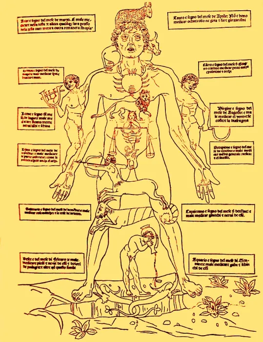 Framed Print : Zodiac Man, Medical Astrology Framed Print : Zodiac Man, Medical Astrology